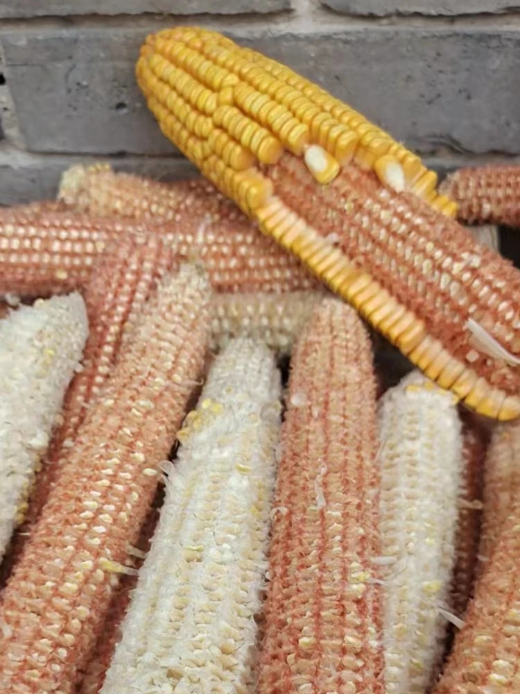 

2024 New Corn Cob, Grain-wrapped Sticks, New Goods, Farm Dry Goods, Handmade Materials