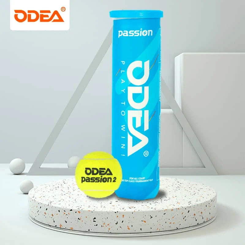 

ODEA Passion Tennis Balls Competition Training Tennis Ball Professional High Elastic Resistance Tennis Ball 4 Balls/Can Tennis