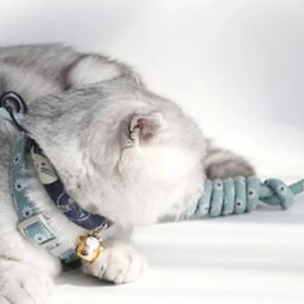 

Cat Harness Adjustable Flower Pattern Light Green Size S Comfortable Neck Strap Safety Lead Leash Outdoor Pet Supplies for Cats