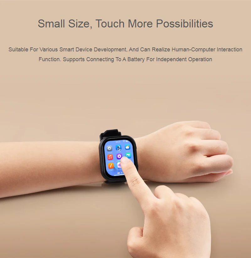 ESP32-S3 2.06 インチ AMOLED ディスプレイ開発ボード AI 音声チャット 410×502 タッチスクリーンプログラマブルウォッチ用