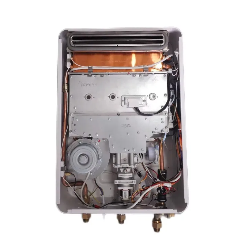 Factory Wholesales Natural Gas Domestic Water Heater Flue Type for Household & Commercial Use