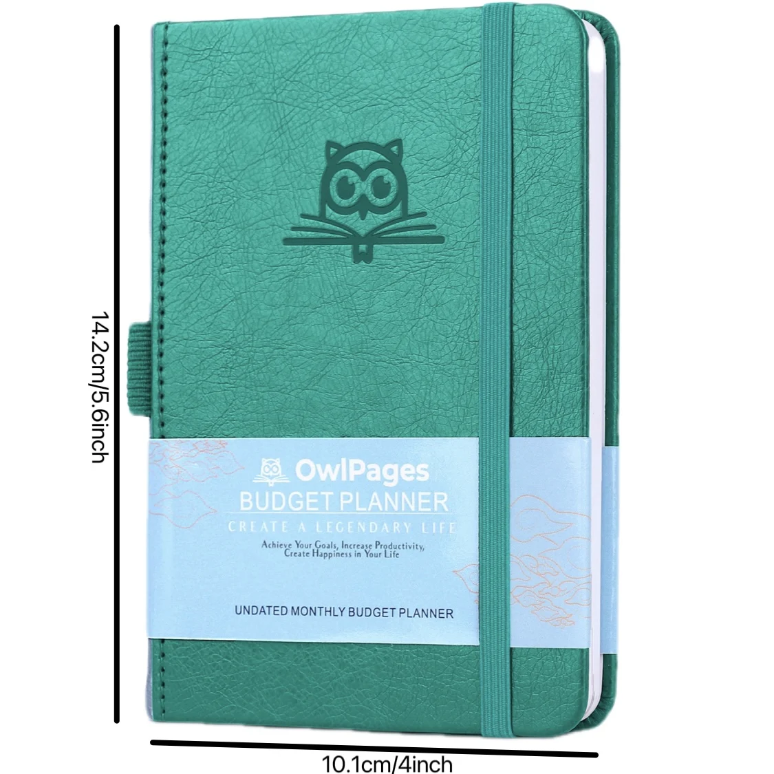 Budget Planner, Monthly Bill Tracker Book 4
