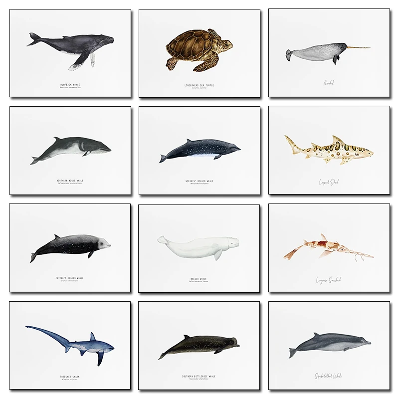 Vintage Undersea Marine Life Turtle whale shark Animal Posters Prints Canvas Painting Wall Art Pictures Home Living Room Decor