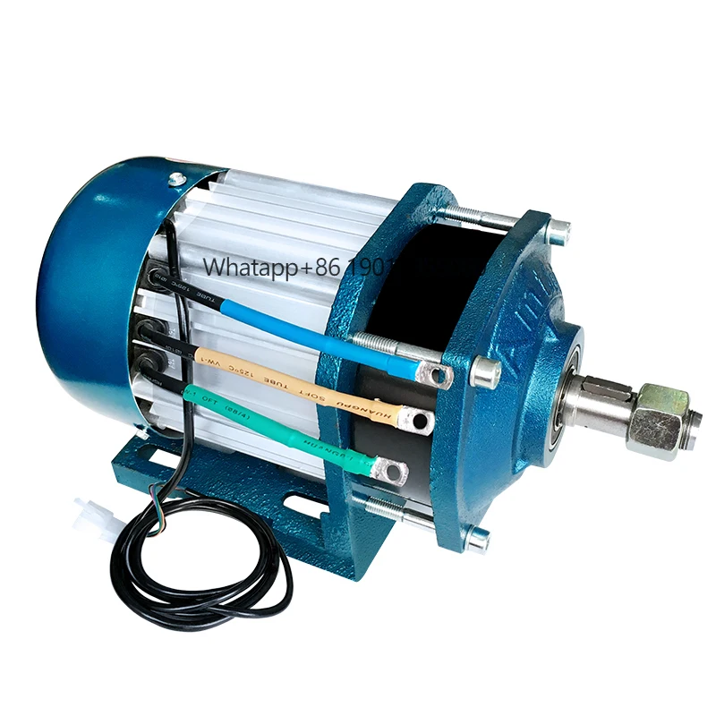 

60v 3000w High Torque 500kg Load BLDC Motor for Passenger Assisted Vehicles