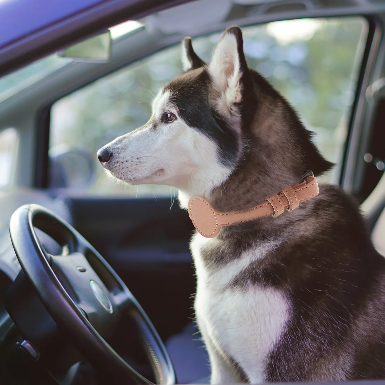 

PU Adjustable Cat Tracer Collar Antilost Safety Lightweight Practical Pet Collar for Outdoor Use Pet Supplies Cat Collars