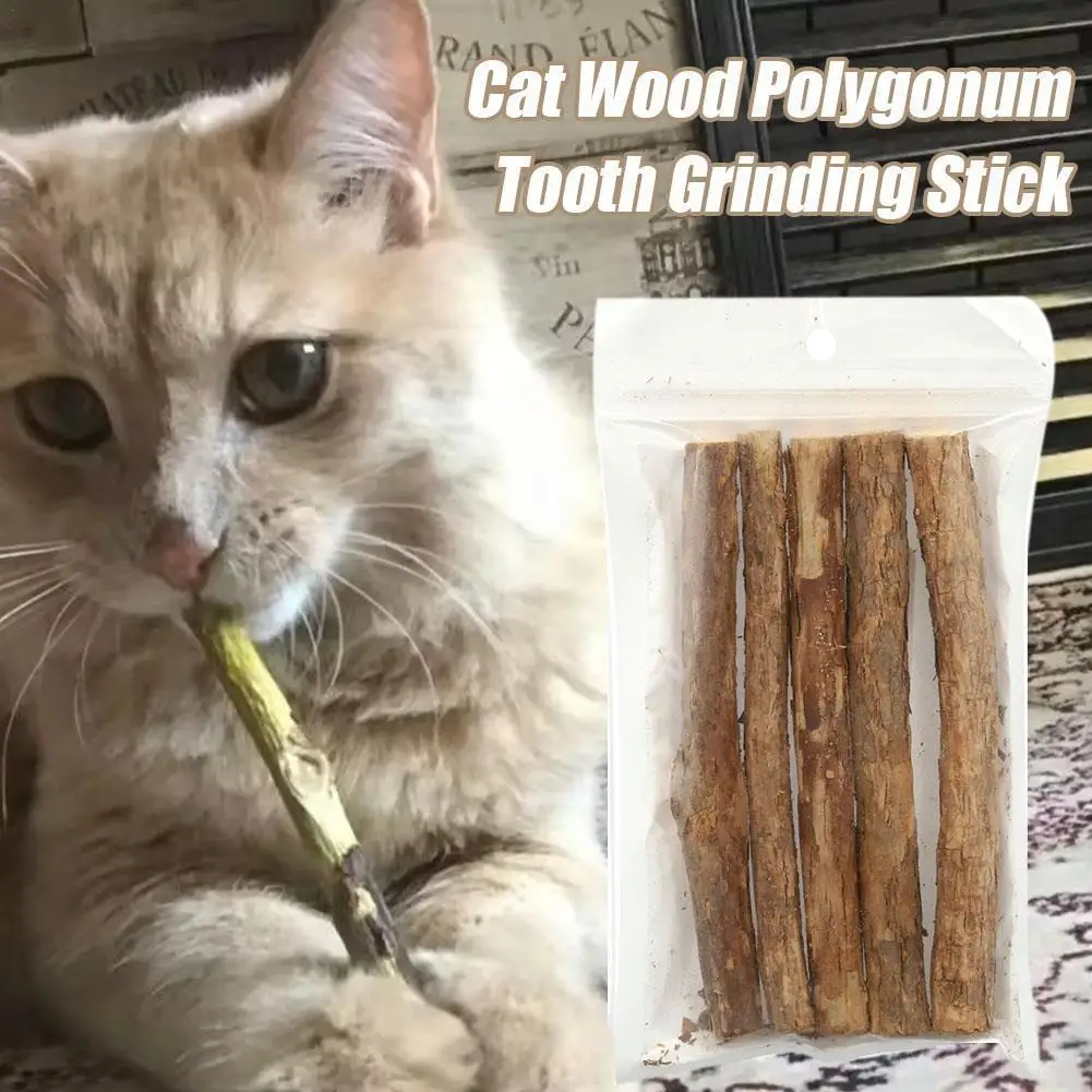 5pcs Pet Chew Stick Cat Cleaning Teeth Toy Wood Polygonum Sticks Relieve Boredom Snacks Matatabi Teeth Molar Chewing Toys Stick