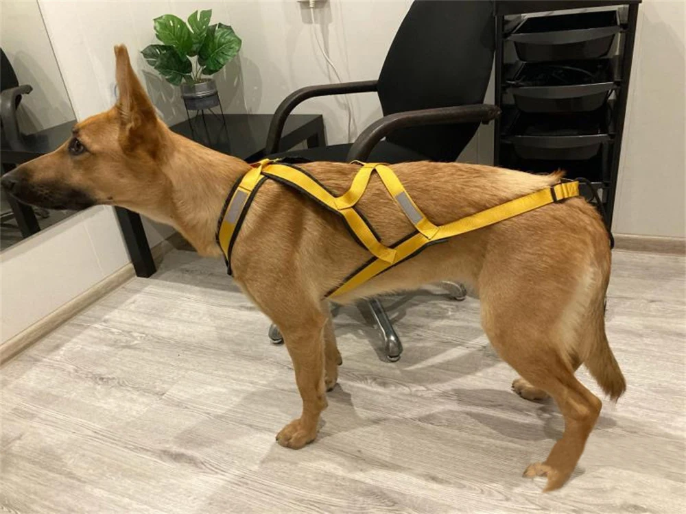 Hochwertiges Schlaufen-Geschirr für große Hunde zum Skifahren und Laufen – Geschirre für mittelgroße und große Hunde wie Alaska Hound, Bulldoggen und andere Haustiere – Zubehör – Detail 7