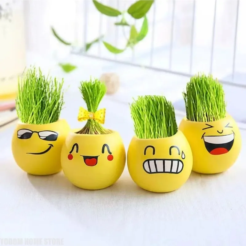 Mini Transparent Observation Planter, Cool Styling DIY Flower Pot, Creative Micro Landscape Desktop Plant Decoration