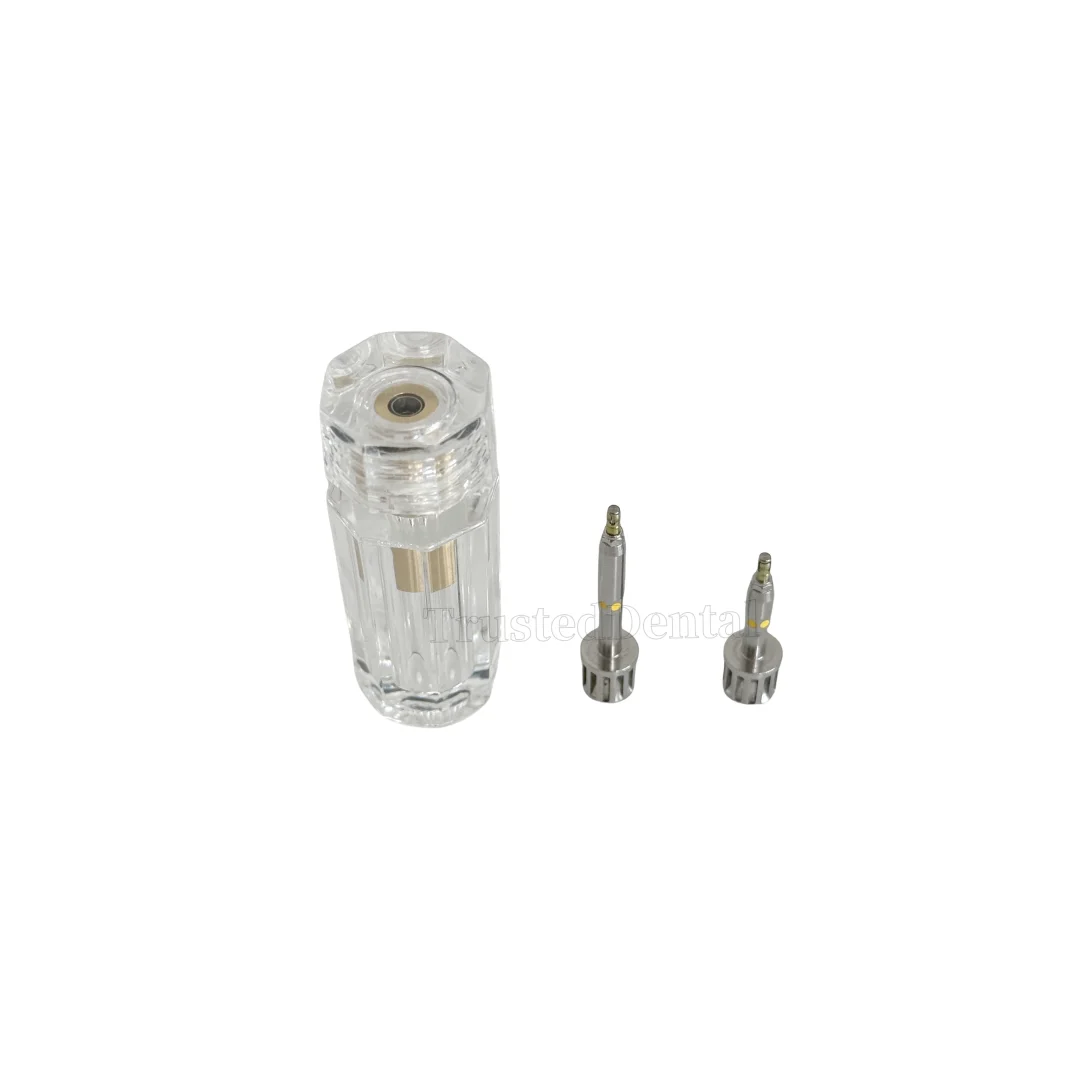 

Dental Implant Teaching Model Fixture Driver Ratchet Teeth Study Dentist Students Regular 4.5