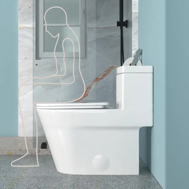 

Ceramic One Piece Toilet, 12-Inch Rough-In, Dual Flush 1.1/1.6 GPF, Soft Closing Seat, Powerful MAP 800g Flush, Ideal for