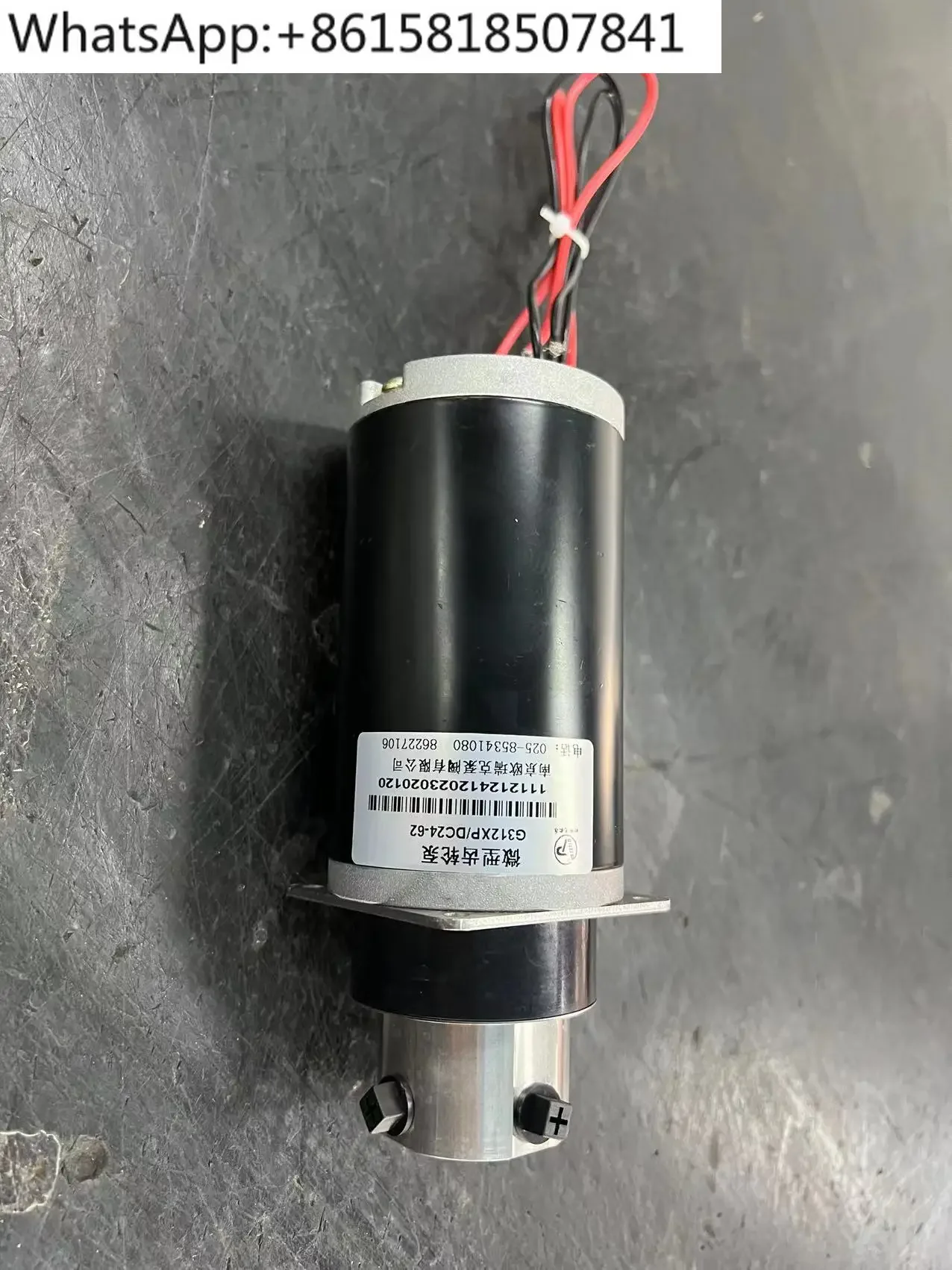 Stainless Steel Pump G312XP/DC24-62 Edible Oil Automatic Wok Medical Cleaning Equipment