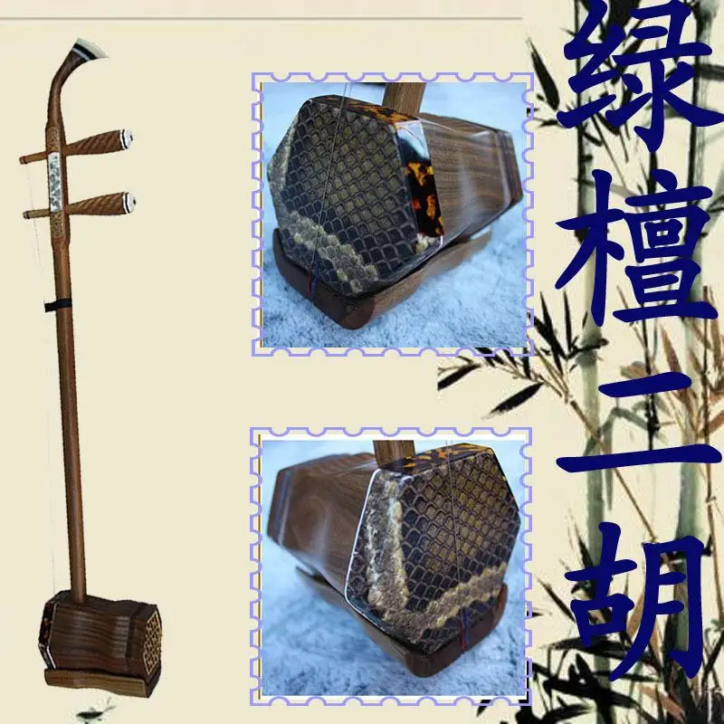 Chinese Traditional String Instruments High Quality Green Sandalwood Erhu Stage Performances Professional Erhu with Accessories