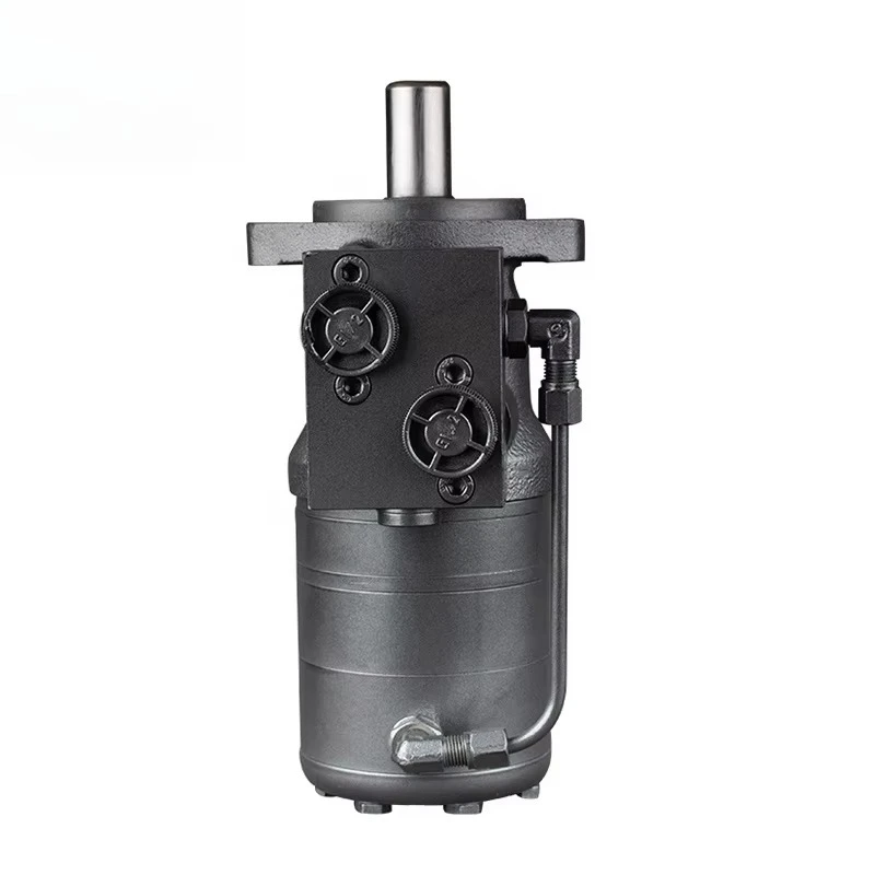 Hydraulic Drive Motor Replacement for ZHYD ZBMR BMR-BK01 BMR-BK02 LSHT OMR200 250 with Wood Splitting Mechanism