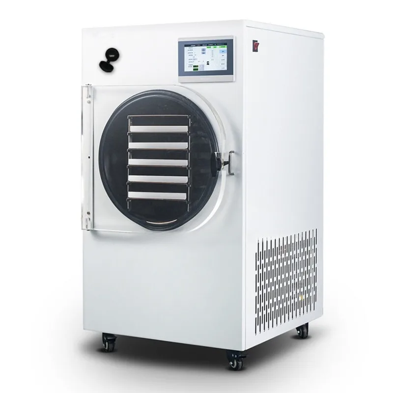 Small Home Pro Vacuum Mini Freeze Dryer Machine Lyophilized Powder for Flowers for Home Trade Ready-To-Eat Customized