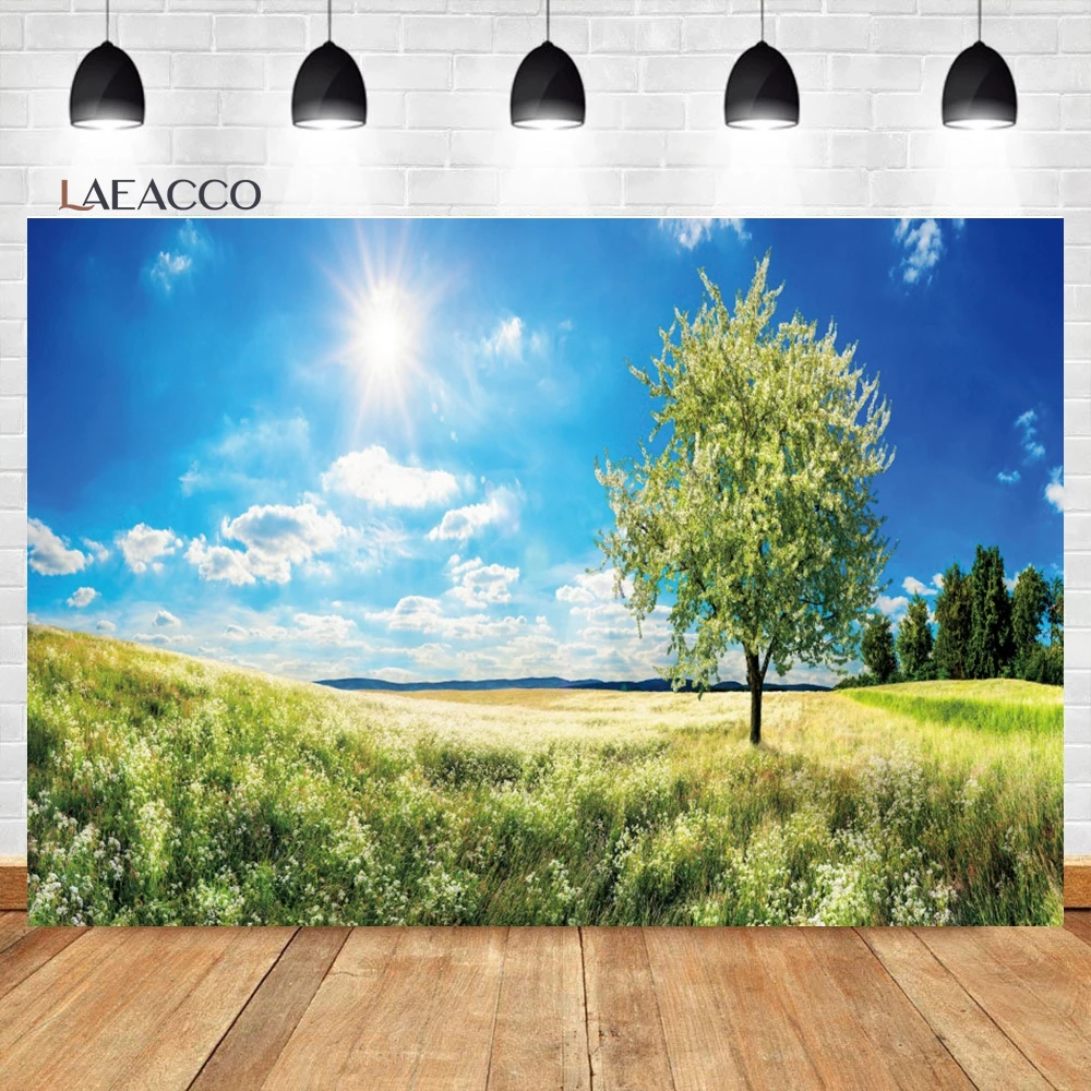 Laeacco Spring Rural Sunrise Field Nature Landscape Backdrop Meadow Wildflower Grass Kids Adults Portrait Photography Background