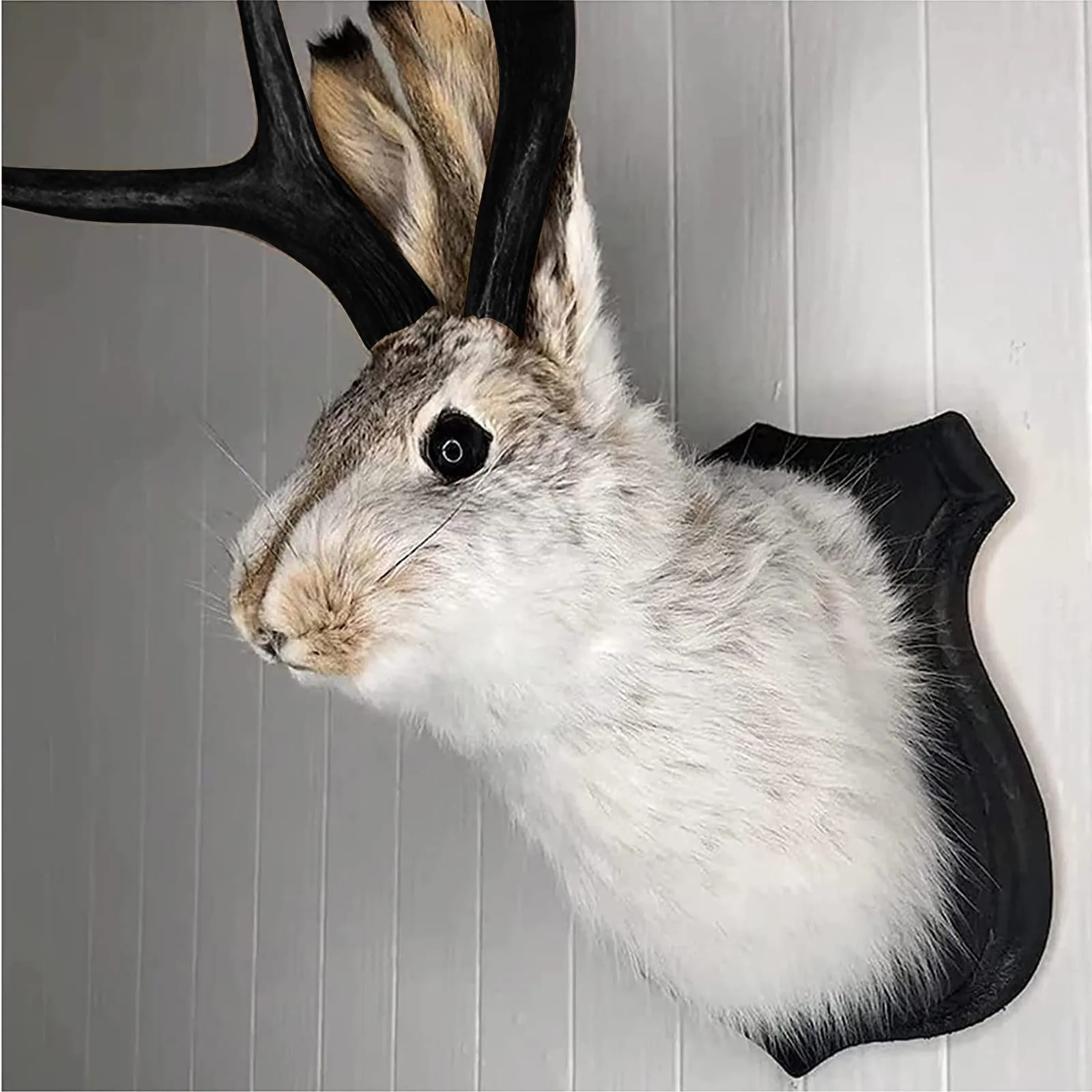 Taxidermy, fejét fali dekor, Gímszarvas fejét fali Buggyan, Gímszarvas fejét fali Buggyan, számára haza fali decoration. Nyúl Dísztárgyak fali dekor