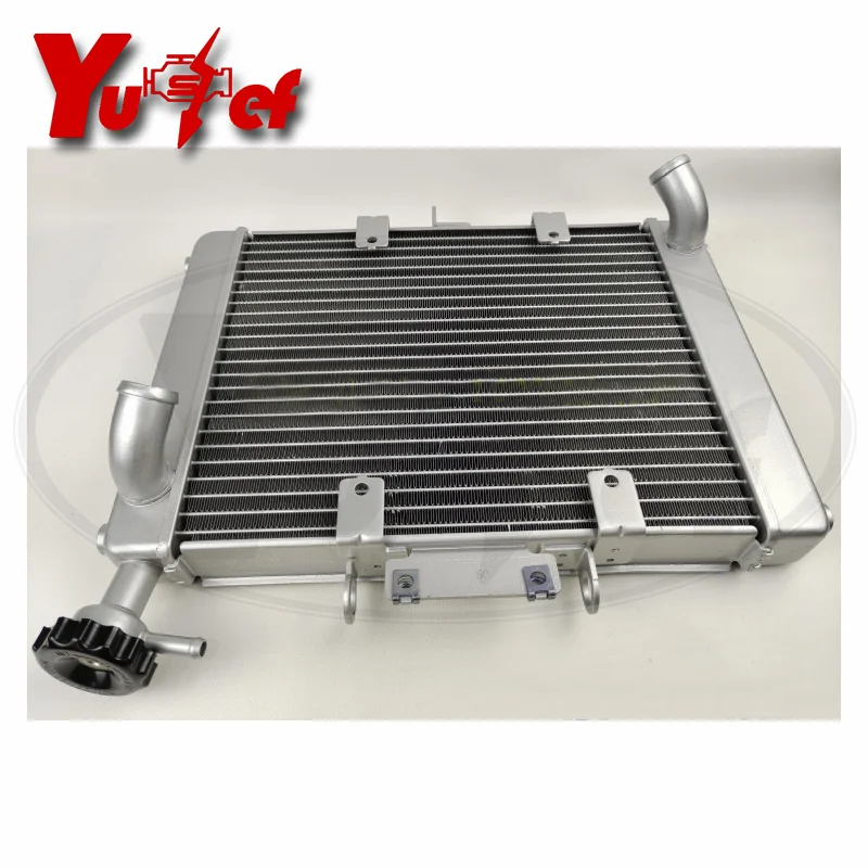 

Motorcycle Engine Parts Water Cooler Radiator For Benelli 502C BJ500 6A