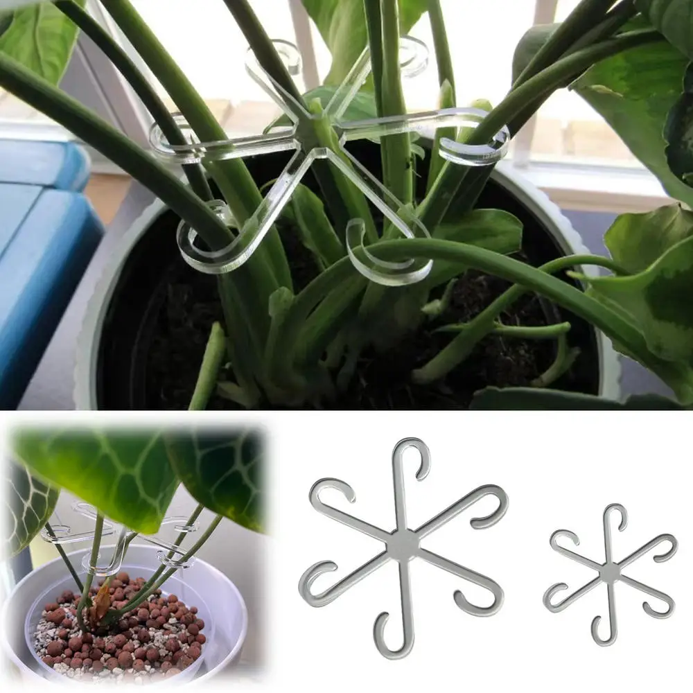 

Stem Support Alocasia Monstera Leaf Supports 5Pcs Vine Support Clips For Climbing Plants To Grow Upright And Make Healthier