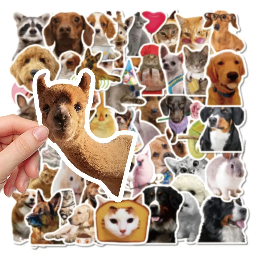 10/30/52 قطعة مضحك الكرتون الحيوان ميمي ملصقات لطيف القط الكلب الشارات Skateboard بها بنفسك سكيت الهاتف الأمتعة خوذة الكتابة على الجدران ملصق للهدايا #5