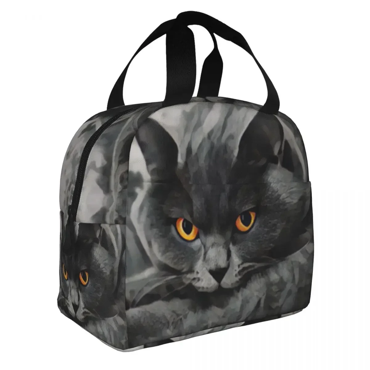 British Shorthair Cat Lunch Box Warm Cooler Thermal Food Insulated Lunch Bag for Women School Picnic Portable Tote Container