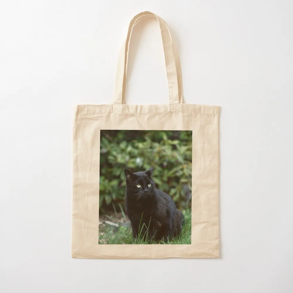 The Cute Cat Friend Tote Bag cloth bag woman ecological bags Women's tote bag