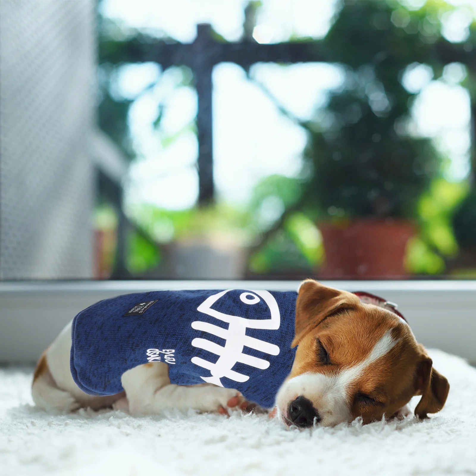 

Xxl Sweater Dog Knitwear Pet Winter Warm Clothing Soft Comfortable Fit Stretchable Easy on Off for Walking Jogging