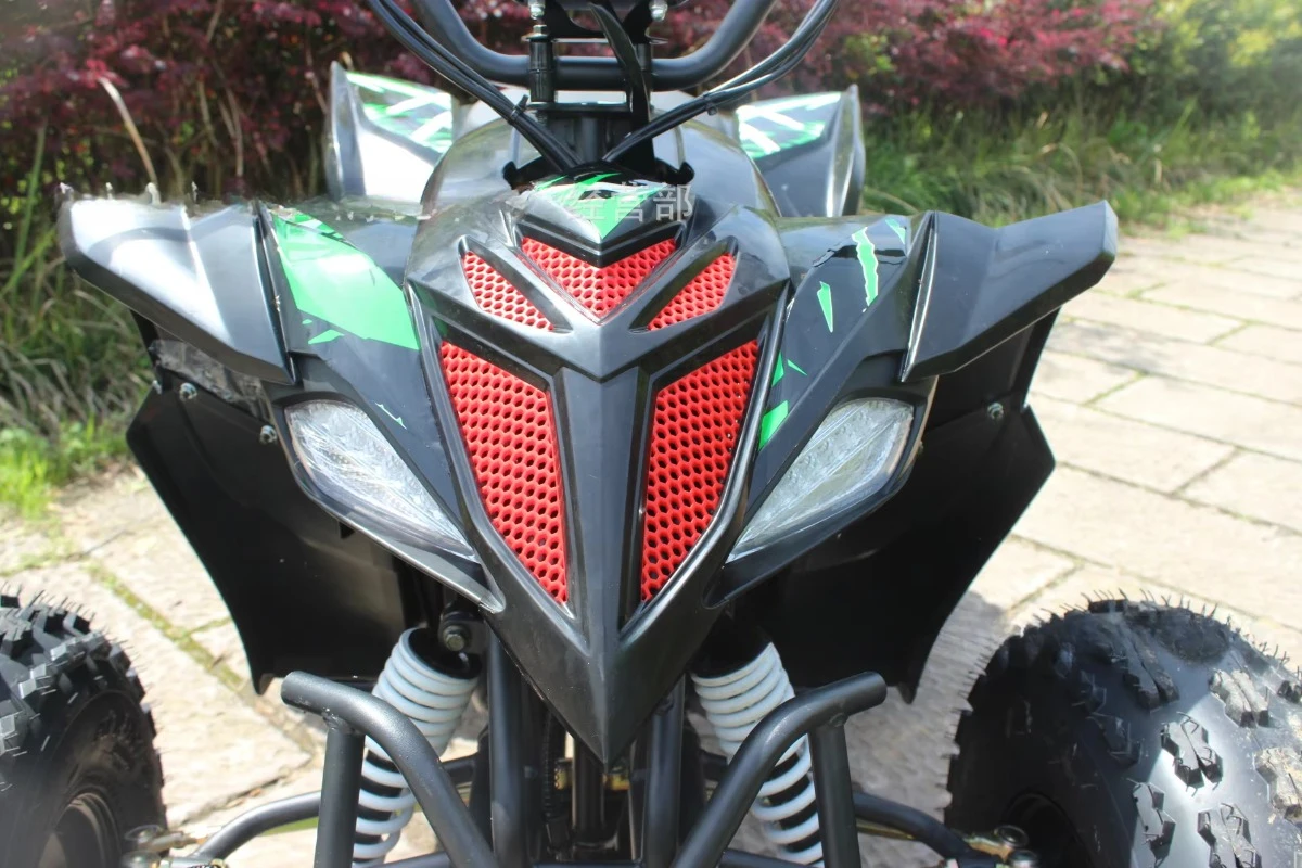 ATV Beach Bike in War Eagle Dirt Bike Mountain Terrain Off-road Motorcycle Adult Electric Recreational Motorcycle - Image 5