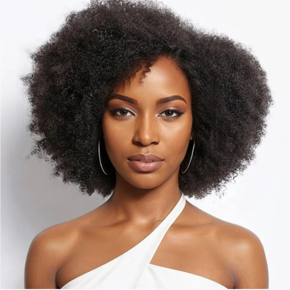 Afro Wig Human Hair Kinky Curly Bob Wig Lace Front Human Hair Wigs For Women 13x4x2 HD Lace Glueless Wig Pre Plucked 250 Density