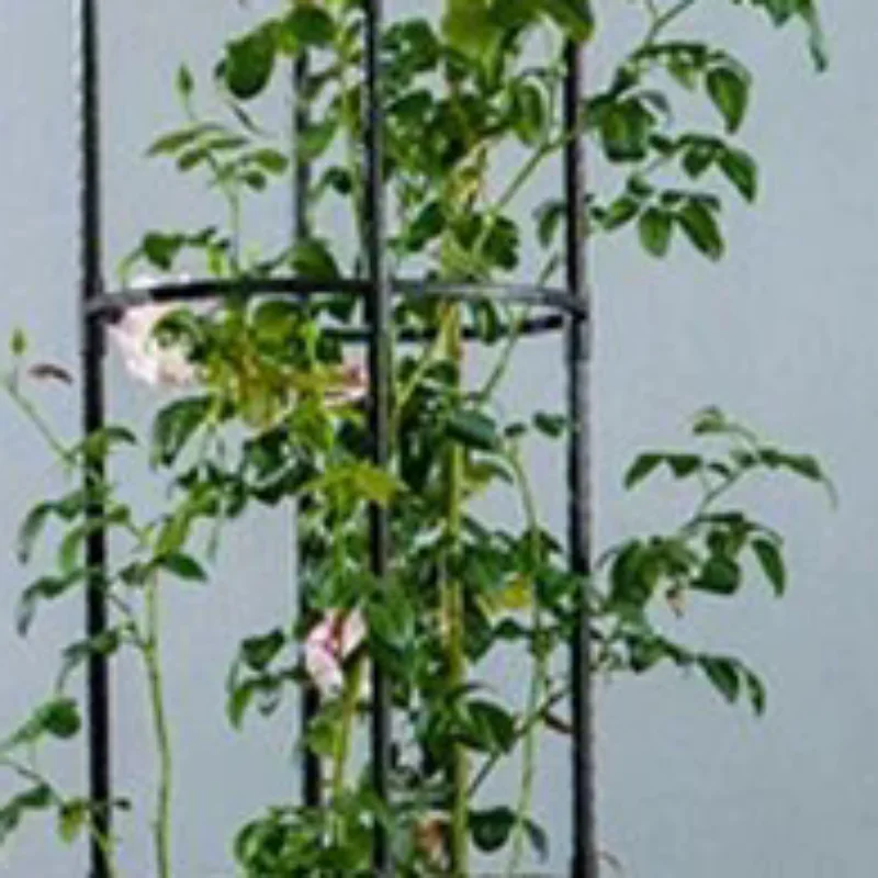 

Garden Stackable Vertical Trellis For Growing Indoor Plants And Flowers Climbing Plant Support Rustproof Pea Frame Tomato Cage