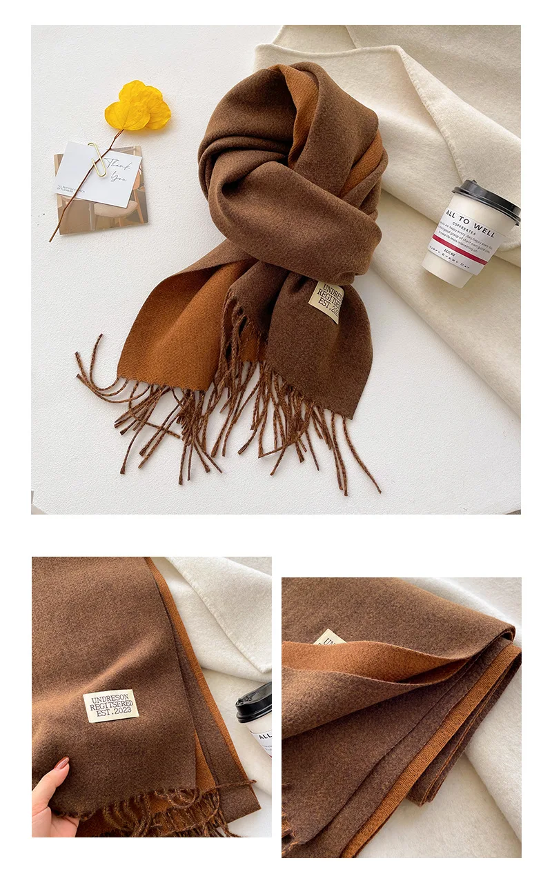 Mode solide Kaschmir warmen Schal neues Design Pashmina Winter Doppelseite verschiedene Farbe Schal Wraps Bufanda mit Quaste Decke – Detail 19