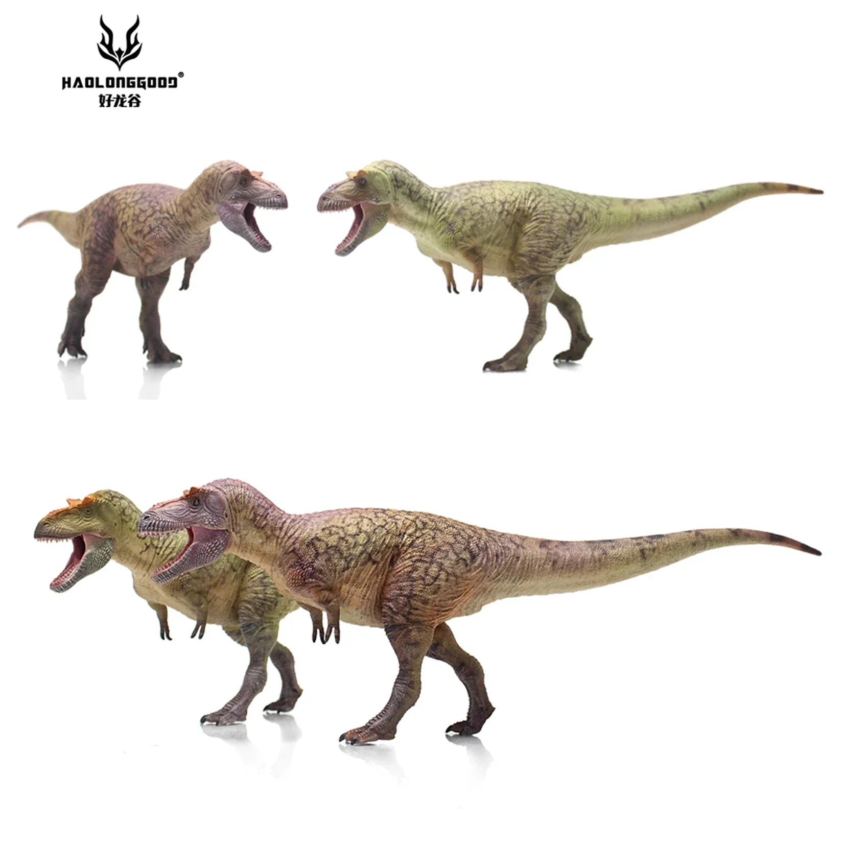 HAOLONGGOOD 1:35 Daspletosaurus Model Prehistory Dinosaur Collection Desk Decoration Animal Birthday Gift Adult Educational Toy