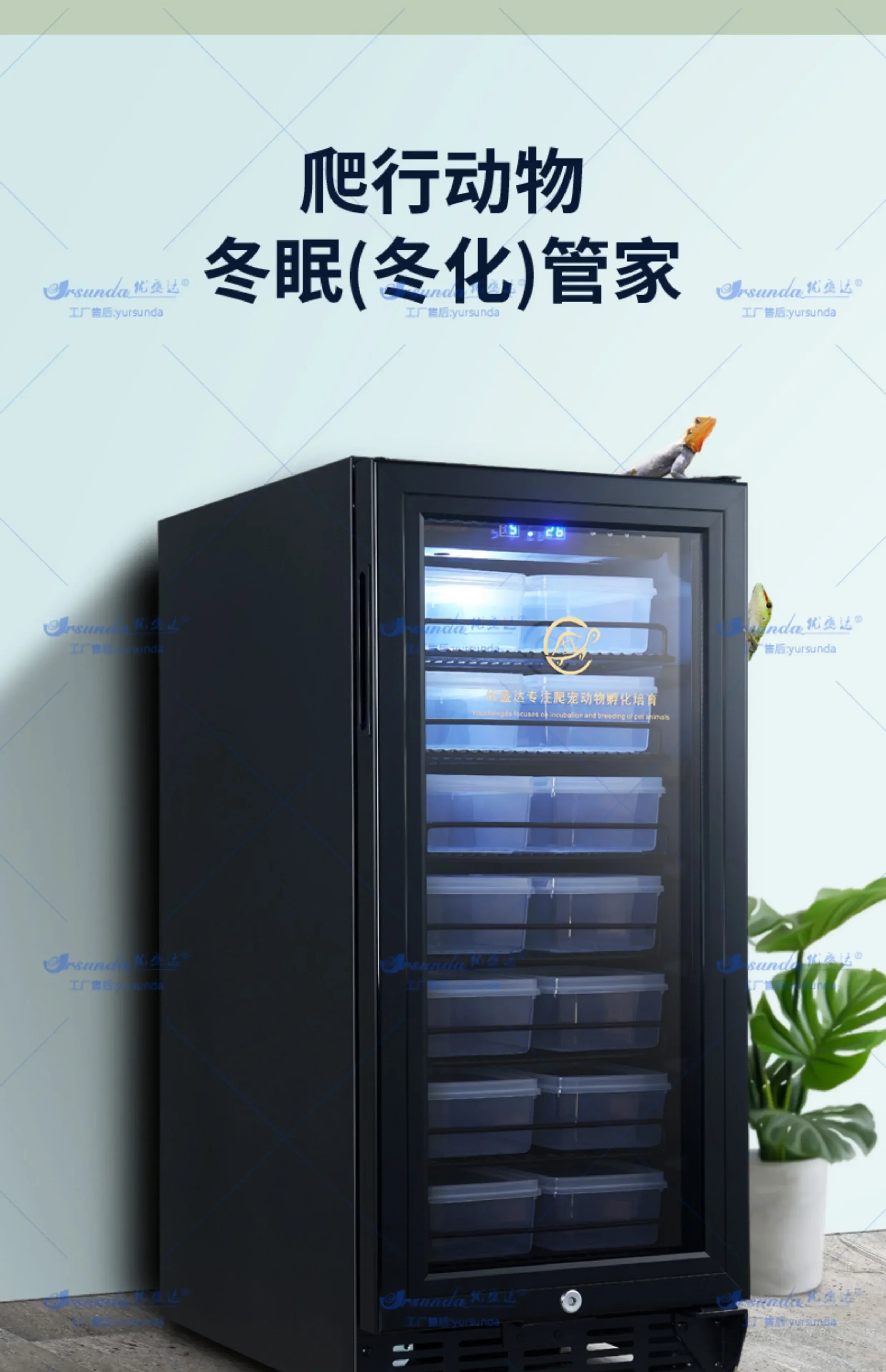 Reptile Pet Incubator Turtle Maned Lion Guardian Snake Hatching Machine Reptile Beetle Constant Temperature Hibernation Cabinet