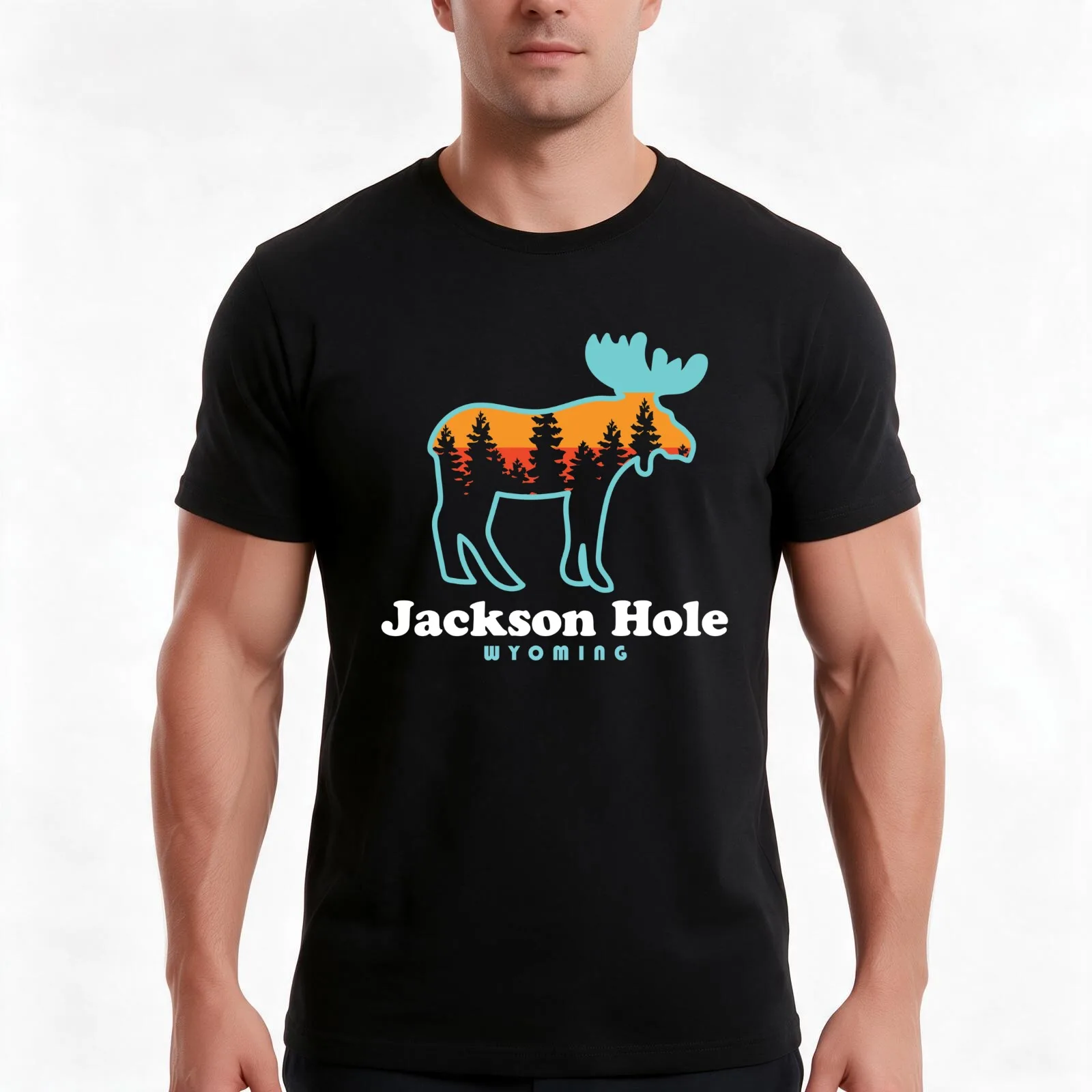 Jackson Hole Wyoming Moose Grand Tetons T-Shirt, Summer Casual Cotton Tee, Oversized Streetwear Tops, Vintage Graphic Print