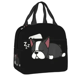 Boîte à lunch portable pour enfants, chien, chiot, amour, cadeau animal, Boston Bull Terrier, sac isotherme thermique pour enfants, école