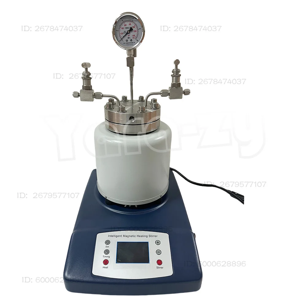 High Pressure Temperature Autoclave Reactor 25-500ml Magnetic Stirrer Customizable Top Quality