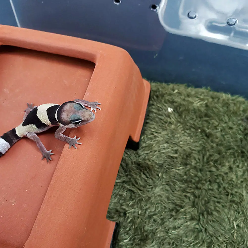 

Fake Lawn Artificial Simulation Terrarium Reptile Living Carpet Decor Mat Cotton Soft Pet Accessory