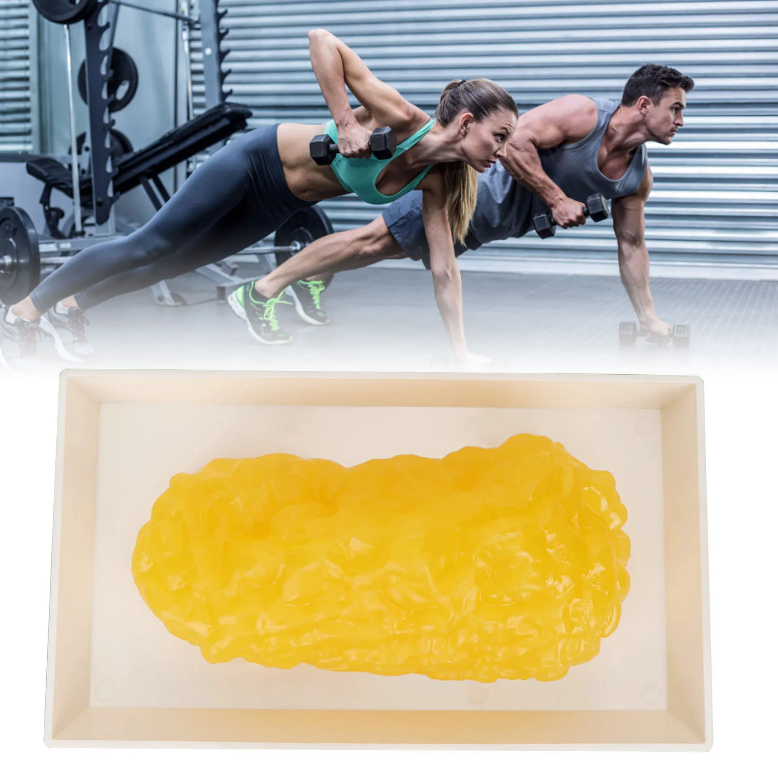 Fat Replica Fatty Tissue Model Human Body Fat Replica 1lb Human Fatty Tissue Demonstration Model for Nutritionist Science Course