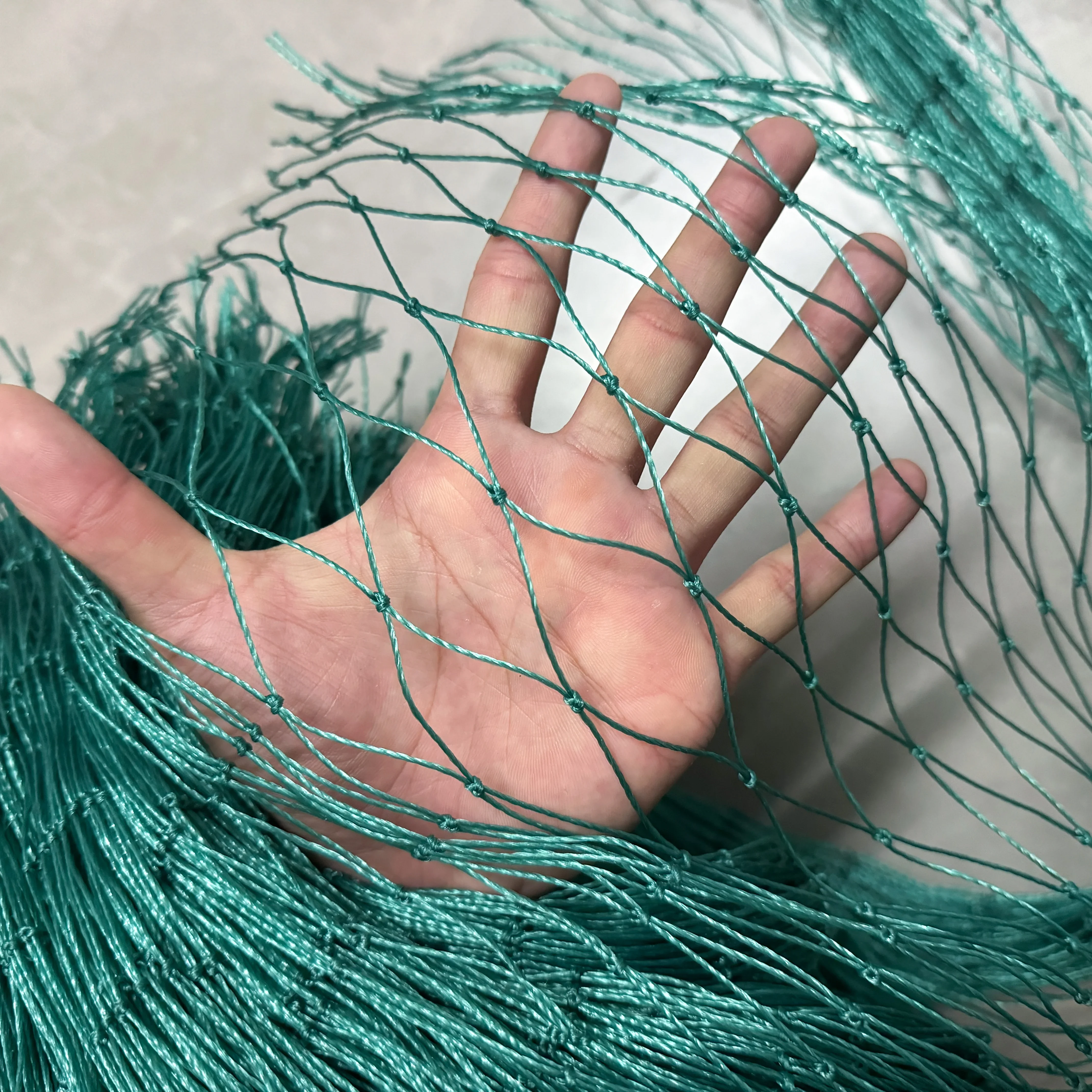 

Heavy Anti Bird Net, Plants Protection Net, Garden Net, Poultry Net , Fruit Tree Net,Leaf Net, For Gardens, Farmland, Orchards