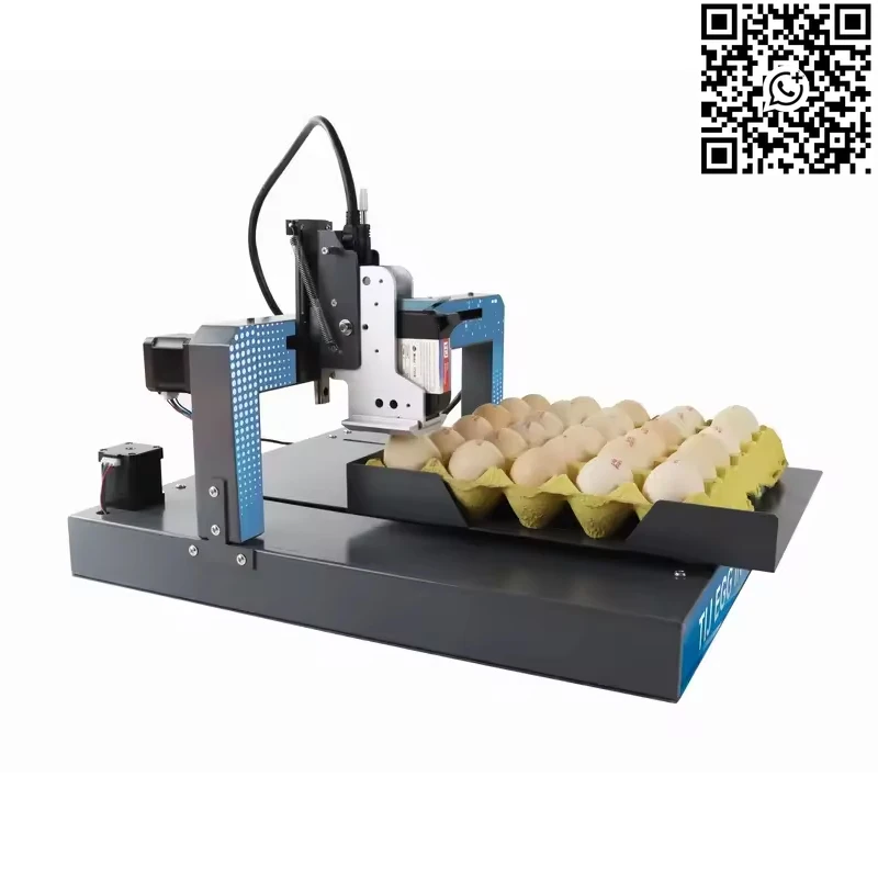 Custom Automatic Egg Coder Machine Hot Sale Inkjet Printer for Egg Date Stamp Poultry Farm Coding Printing Tools