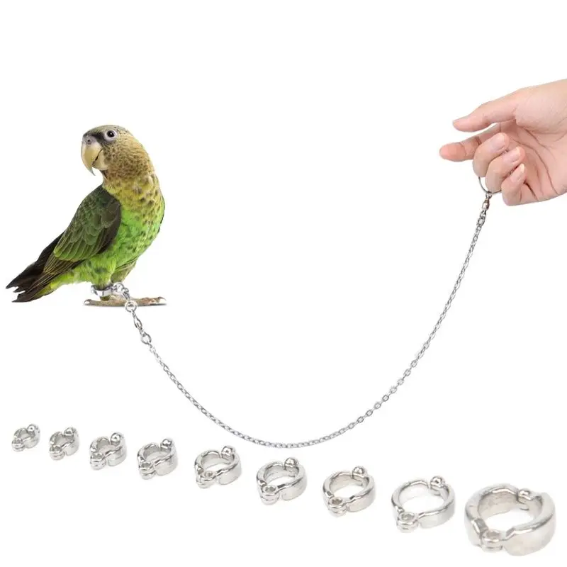 50cm Bord Stainless Steel Chain Parrot Anti-flying Traction Rope  Bird Feet Bracelet Alloy Foot Ring Pet Bird Travel Supplies