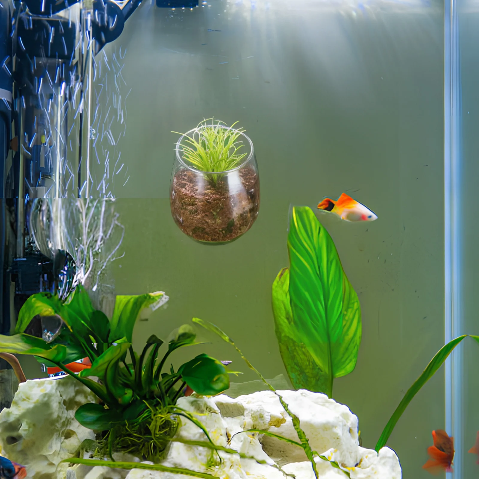 

2Pcs Aquatic Plant Cups Clear Suction Cup Aquarium Planter Fish Tank Accessories for Underwater Decor Aquarium Plant Holder