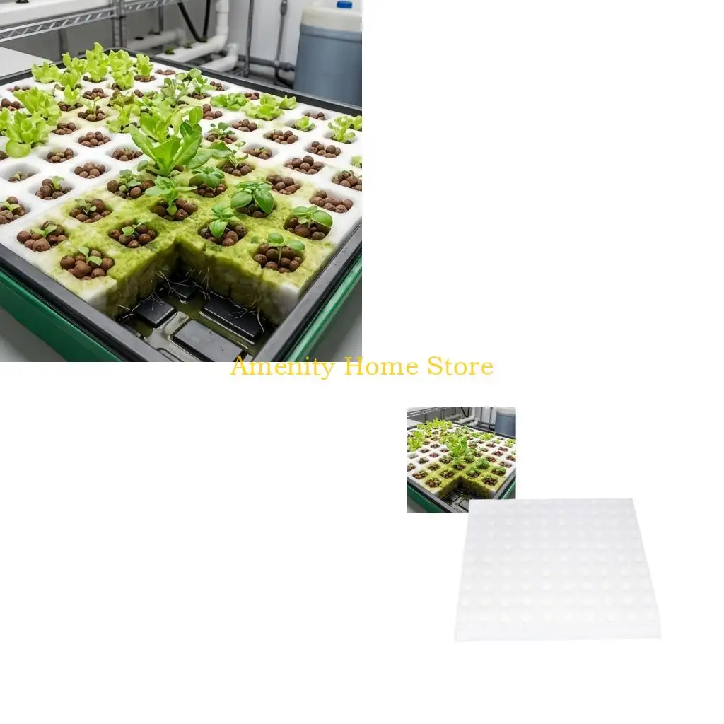 F26C Hydroponic Foam Pad Sheets with Planting Holes for Countertop Herbs and Household Green Germination Projects Use