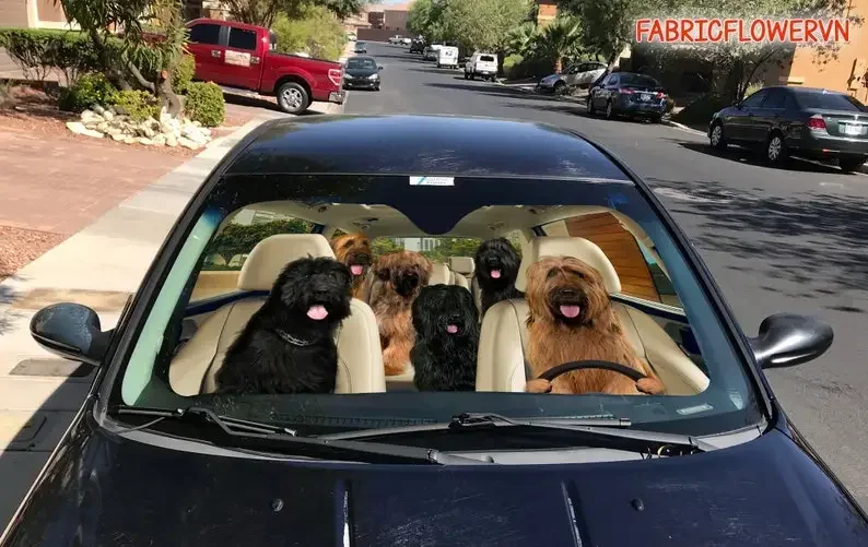 Briard Car Sunshade, Briard Car Decoration, Briard Windshield, Dog Lovers, Dog Car Sunshade, Gift For Mom, Gift For Dad