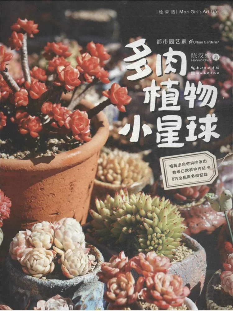 

Book-Winshare Суккулентное растение Маленькая планета