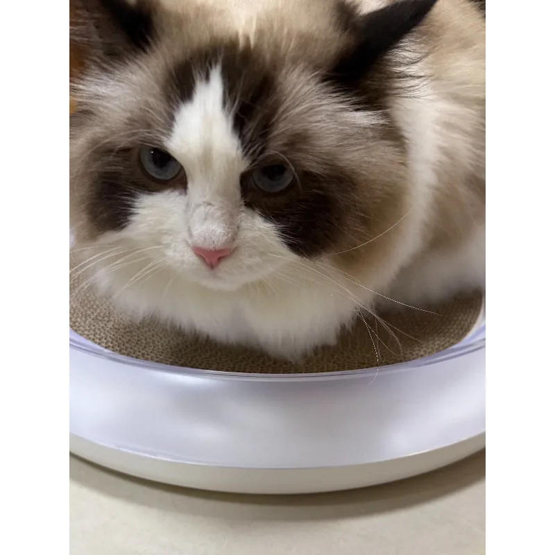 Cat Toy Corrugated Paper Cats Scratching Board Pets Cardboard Scratcher  Rascador Gatos Kitten Accesorios  Pet Toy