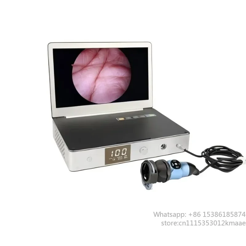 Portable All-in-One 1080P Medical Endoscope Camera System