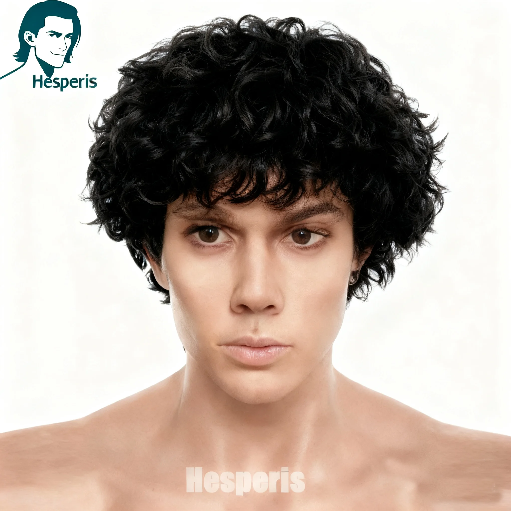 Hesperis Pre Cut Sh… - image
