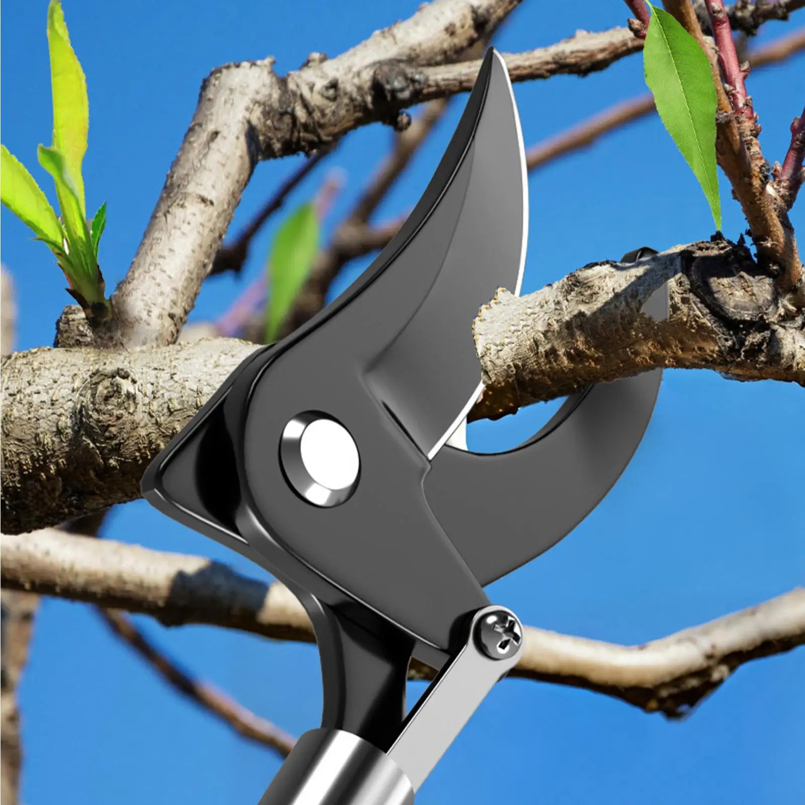 

1M Fruit Picker Extra Long Fruit Picking Shears Pruning And Hold Bypass Pruner Max Cutting Grape Persimmon Picker Garden tools