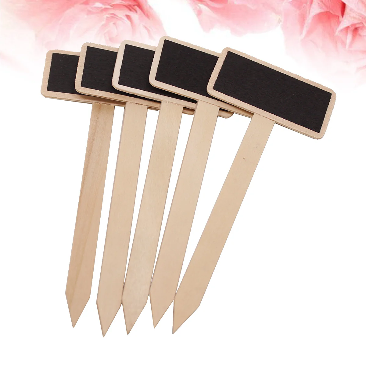 20 pezzi mini lavagna in legno piante grasse segni lavagna nera etichette ufficio