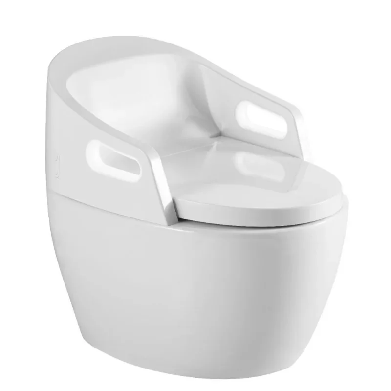 

Large size widened armrest toilet